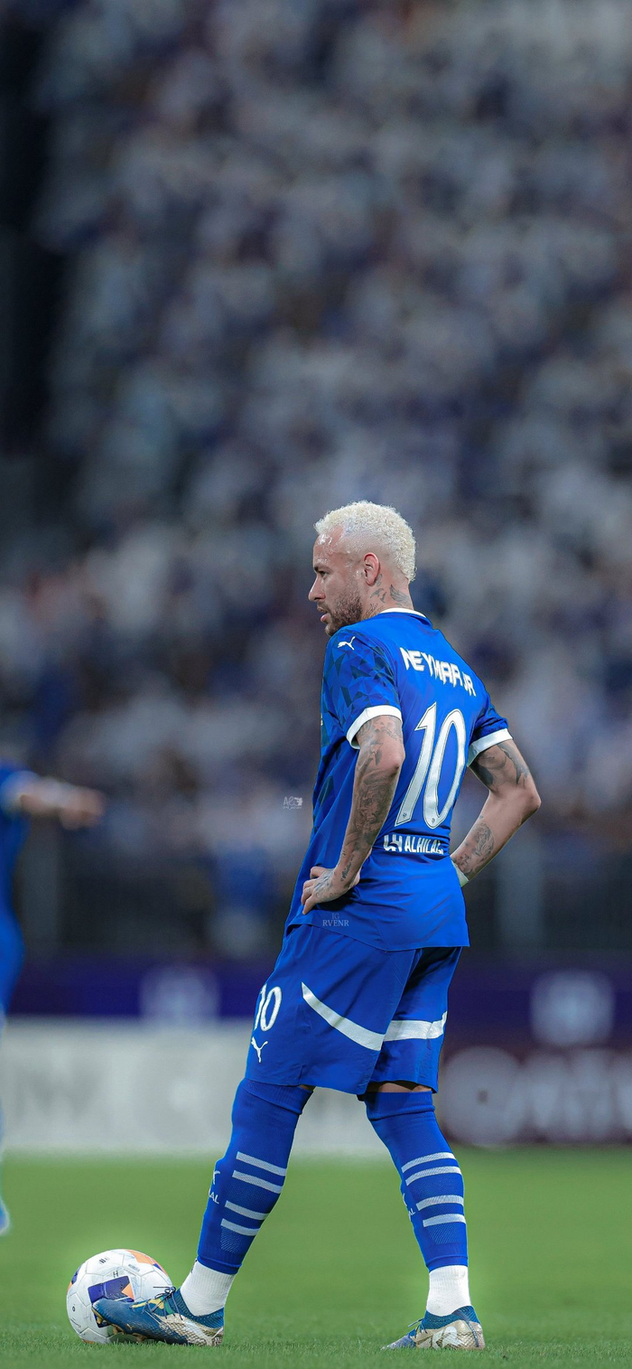 充分发挥了 充分发挥了