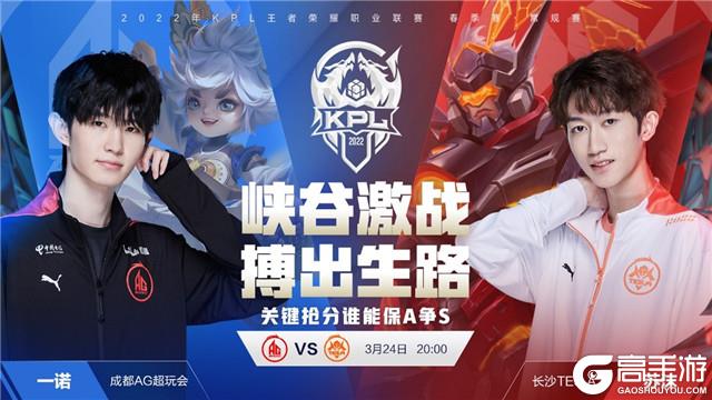 样本内胜率
